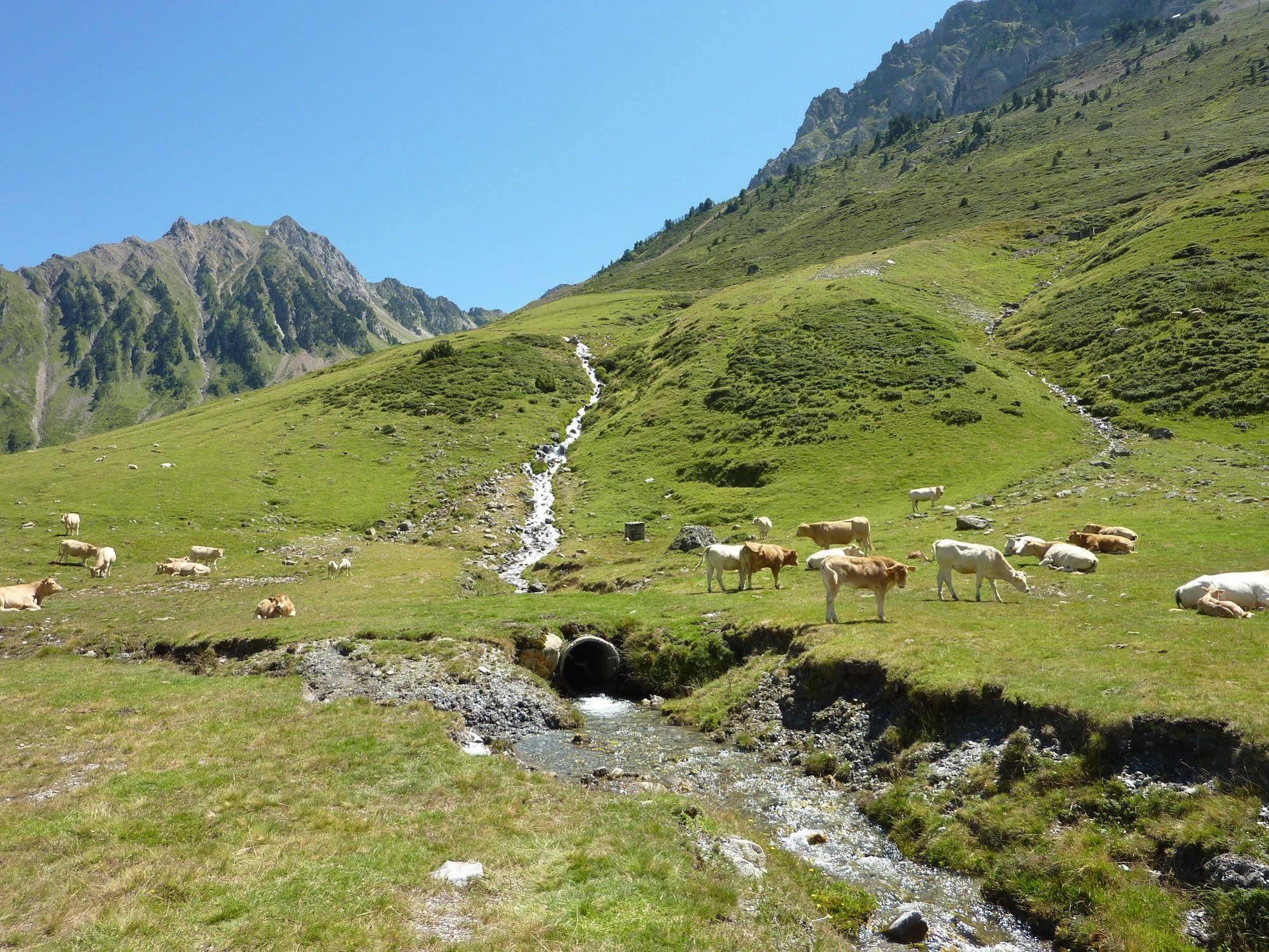 Residence Mer & Golf Tourmalet La Mongie Bagian luar foto